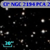 Cl* NGC 2194    PCA     239