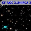 Cl* NGC 2194    PCA     244