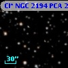 Cl* NGC 2194    PCA     245