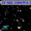 Cl* NGC 2194    PCA     247