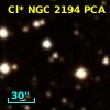 Cl* NGC 2194    PCA     275