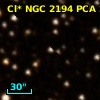 Cl* NGC 2194    PCA     295