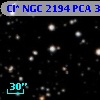 Cl* NGC 2194    PCA     309