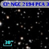 Cl* NGC 2194    PCA     312