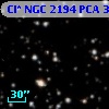 Cl* NGC 2194    PCA     315