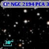 Cl* NGC 2194    PCA     335