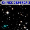 Cl* NGC 2194    PCA     344