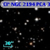 Cl* NGC 2194    PCA     368