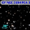 Cl* NGC 2194    PCA     376