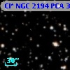 Cl* NGC 2194    PCA     384