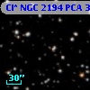 Cl* NGC 2194    PCA     386