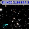 Cl* NGC 2194    PCA     393