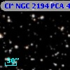 Cl* NGC 2194    PCA     440