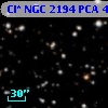 Cl* NGC 2194    PCA     441