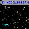 Cl* NGC 2194    PCA     442