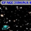 Cl* NGC 2194    PCA     443