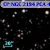 Cl* NGC 2194    PCA     444