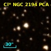 Cl* NGC 2194    PCA     445