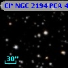 Cl* NGC 2194    PCA     446