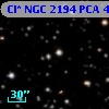 Cl* NGC 2194    PCA     449