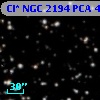 Cl* NGC 2194    PCA     452