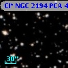 Cl* NGC 2194    PCA     458