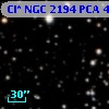 Cl* NGC 2194    PCA     470