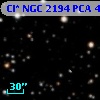 Cl* NGC 2194    PCA     478