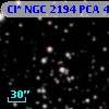 Cl* NGC 2194    PCA     479