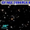 Cl* NGC 2194    PCA     483
