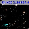 Cl* NGC 2194    PCA     485