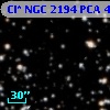 Cl* NGC 2194    PCA     495