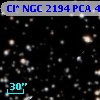 Cl* NGC 2194    PCA     496