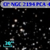 Cl* NGC 2194    PCA     499