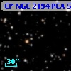 Cl* NGC 2194    PCA     506