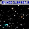 Cl* NGC 2194    PCA     509