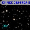Cl* NGC 2194    PCA     513
