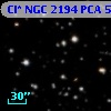 Cl* NGC 2194    PCA     516