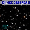 Cl* NGC 2194    PCA     518