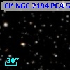 Cl* NGC 2194    PCA     519