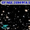 Cl* NGC 2194    PCA     522