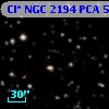 Cl* NGC 2194    PCA     528