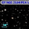 Cl* NGC 2194    PCA     530