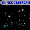 Cl* NGC 2194    PCA     531