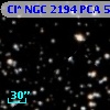Cl* NGC 2194    PCA     532