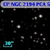 Cl* NGC 2194    PCA     533