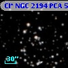 Cl* NGC 2194    PCA     534