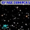 Cl* NGC 2194    PCA     537