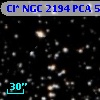 Cl* NGC 2194    PCA     538