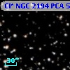 Cl* NGC 2194    PCA     539